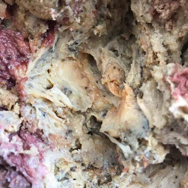 آنقوزه ارگانیک (صمغ آنقوزه) زرتار سرخ اوراسیا با رنگ طبیعی و خواص درمانی