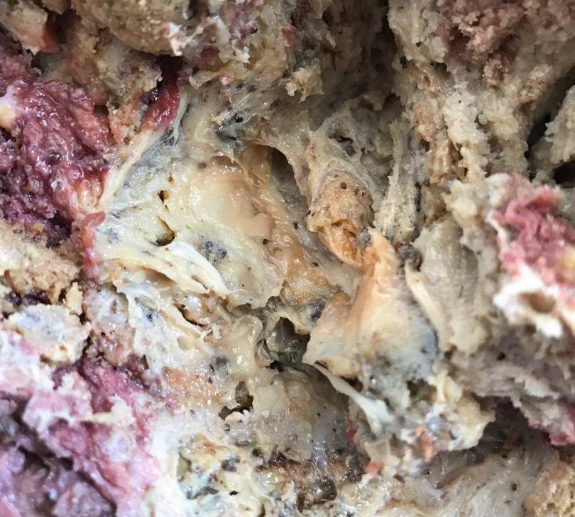 آنقوزه ارگانیک (صمغ آنقوزه) زرتار سرخ اوراسیا با رنگ طبیعی و خواص درمانی