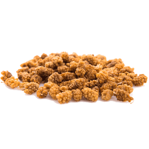 توت خشک ارگانیک و طبیعی زرتار سرخ اوراسیا با رنگ طبیعی و مغذی