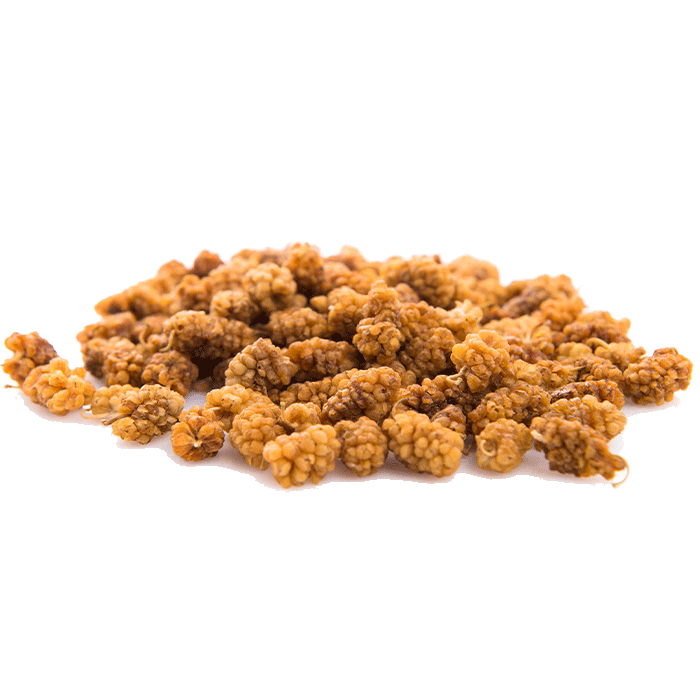 توت خشک ارگانیک و طبیعی زرتار سرخ اوراسیا با رنگ طبیعی و مغذی