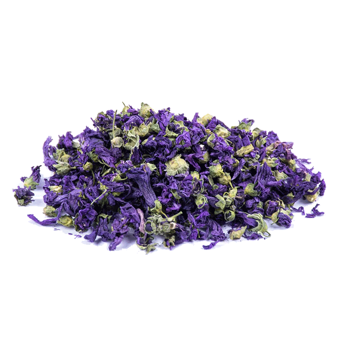 گل بنفشه ارگانیک و طبیعی زرتار سرخ اوراسیا با رنگ بنفش و عطر مطبوع